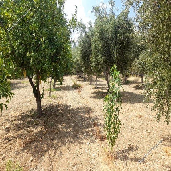 land for sale klirou nicosia 1511802 image 16168558