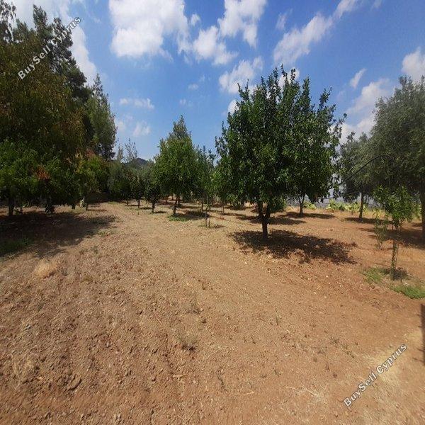 land for sale klirou nicosia 1511802 image 16168559