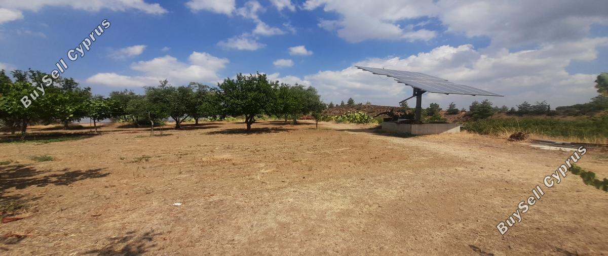 land for sale klirou nicosia 1511802 image 16168561