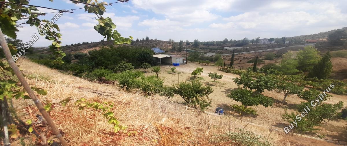 land for sale klirou nicosia 1511802 image 16168587