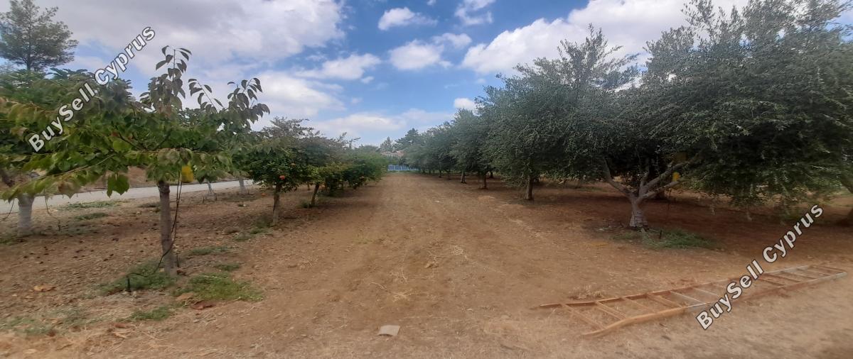 land for sale klirou nicosia 1511802 image 16168588