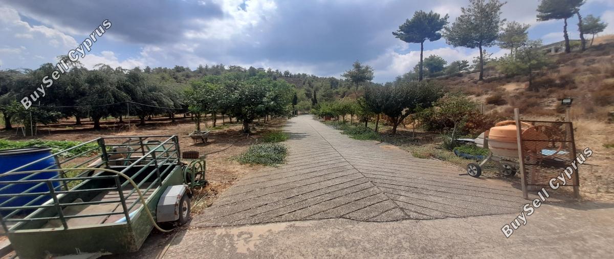 land for sale klirou nicosia 1511802 image 16168610