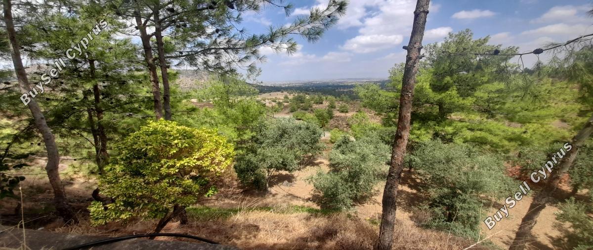 land for sale klirou nicosia 1511802 image 16168616