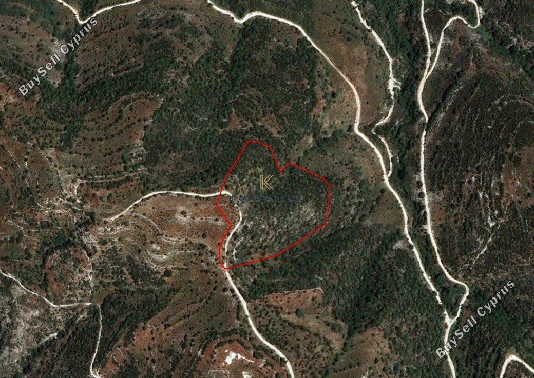 plot for sale dora limassol 1194802 image 5570756