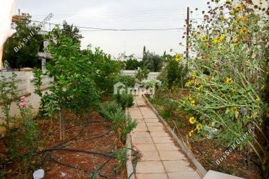 7 bedroom detached house for sale kato lakatamia nicosia 1727902 image 5497509