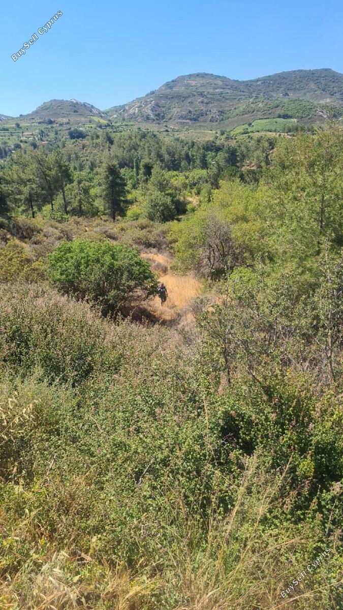 9700 SQM Land for sale in Mandria Lemesou, Limassol 835043