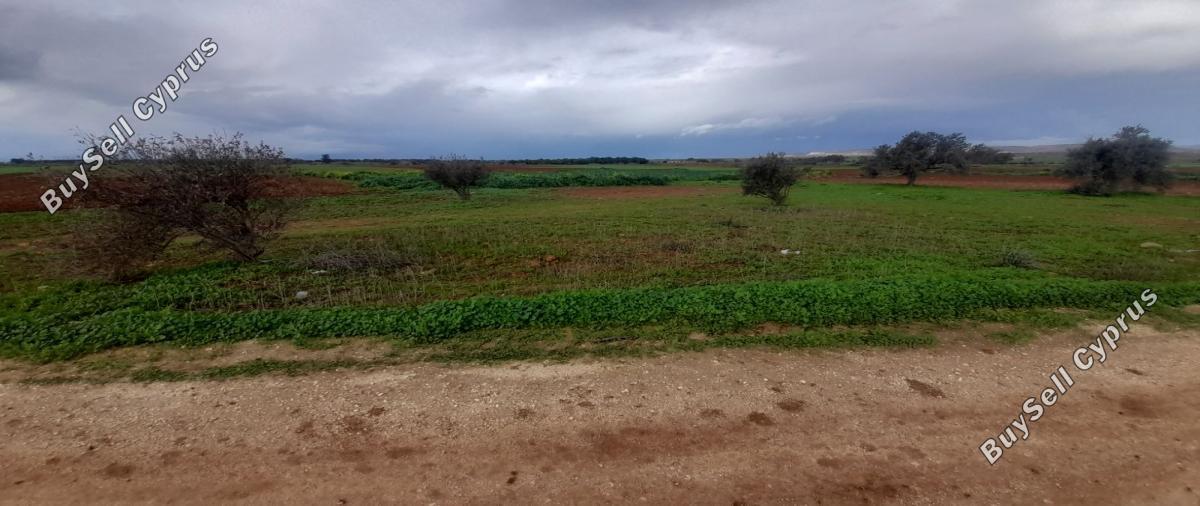 land for sale akaki nicosia 1890902 image 16162276