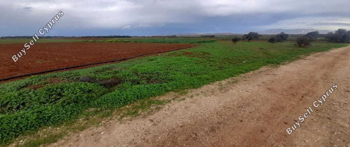 land for sale akaki nicosia 1890902 image 16162278