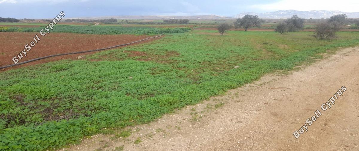 land for sale akaki nicosia 1890902 image 16162279