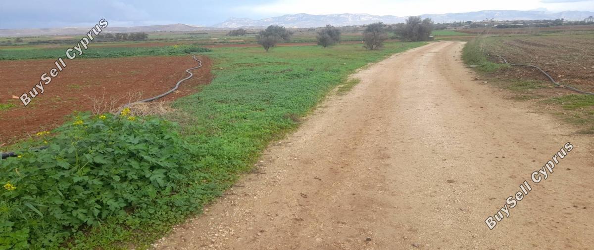 land for sale akaki nicosia 1890902 image 16162280