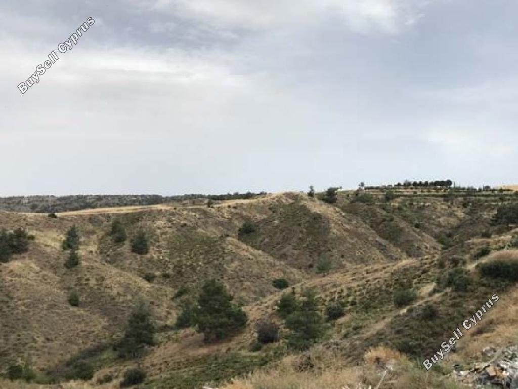land for sale klirou nicosia 945902 image 6820738