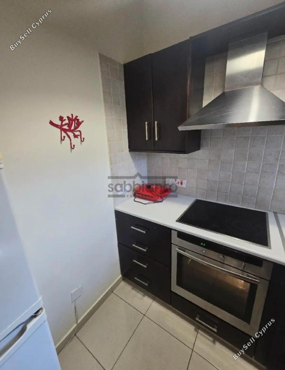 1 bedroom apartment for rent strovolos nicosia 8839012 image 18056128