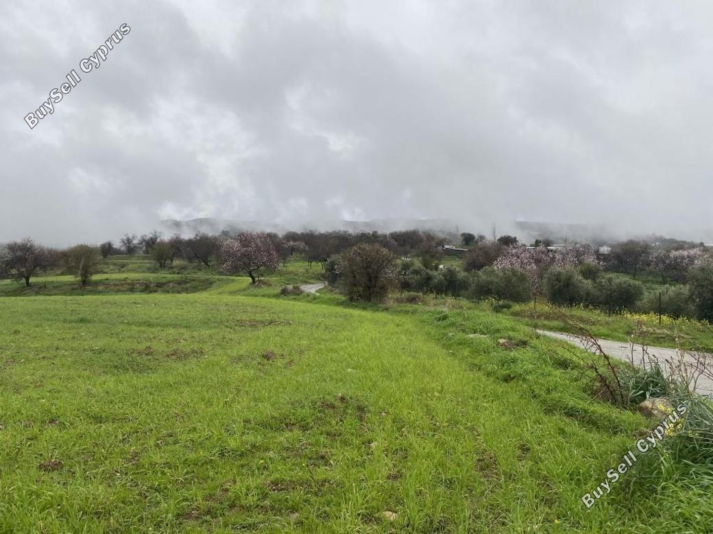 land for sale kelokedara paphos 1898012 image 14210532