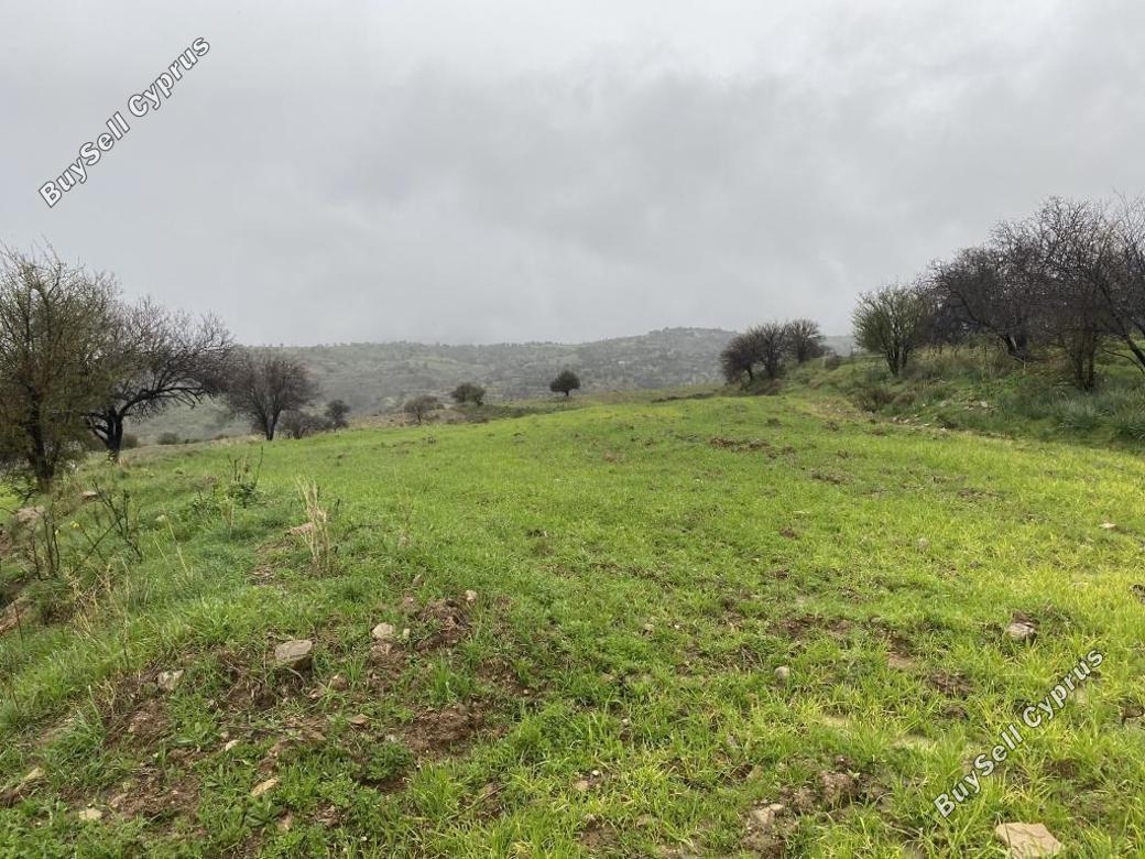 land for sale kelokedara paphos 1898012 image 14210535
