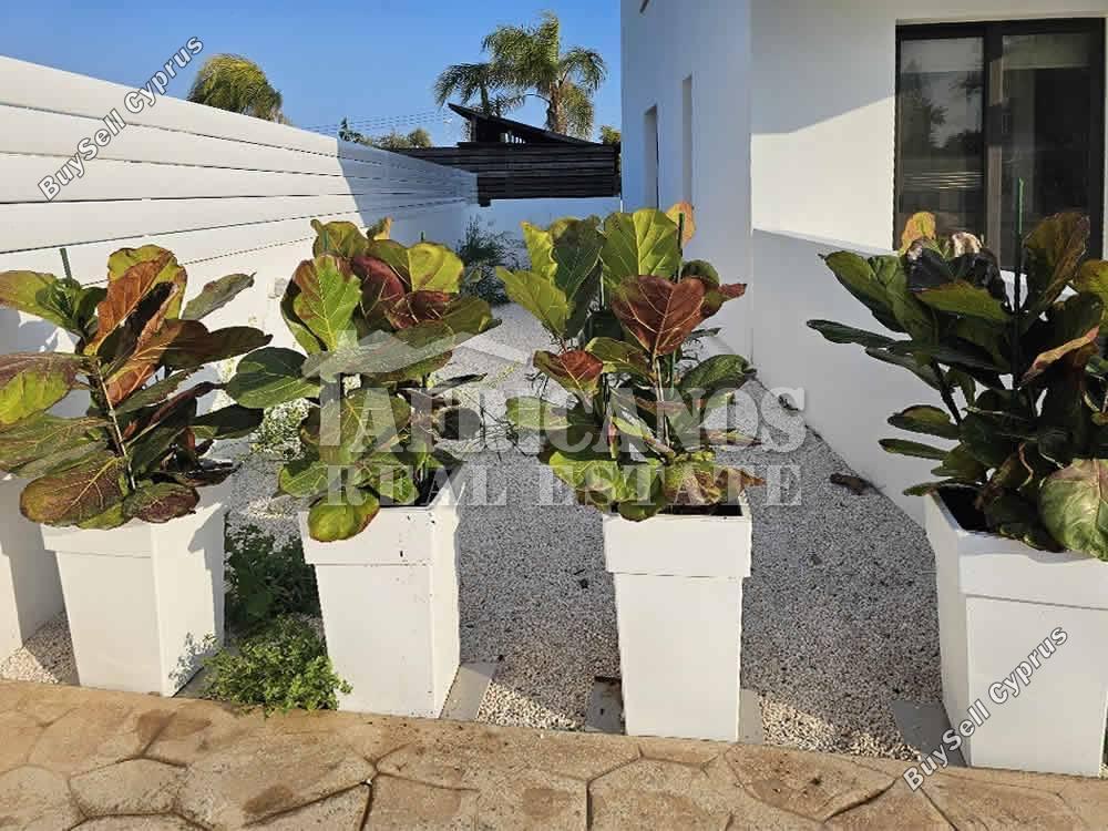 2 bedroom town house for rent kiti larnaca 8693112 image 16658455