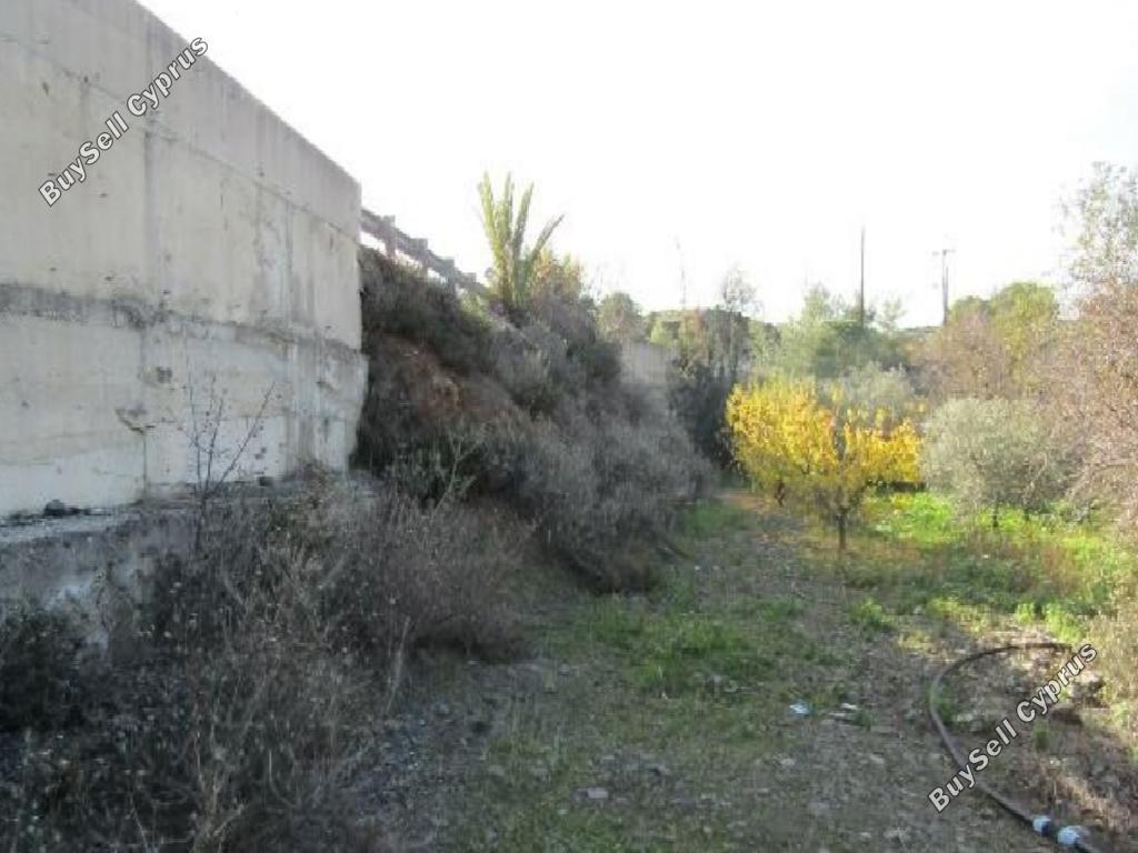 land for sale agioi vavatsinias larnaca 1279112 image 2130521