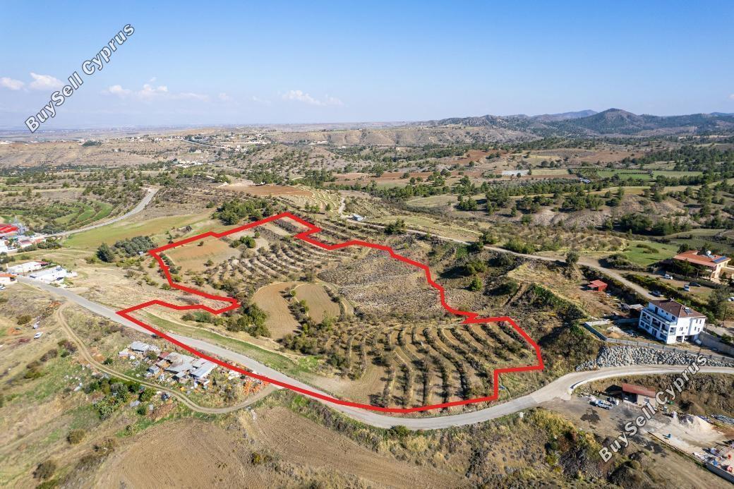 land for sale nikitari nicosia 853112 image 3348445