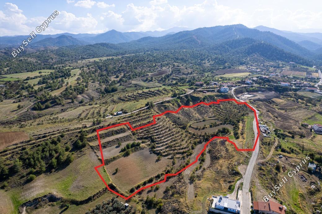 land for sale nikitari nicosia 853112 image 3520957