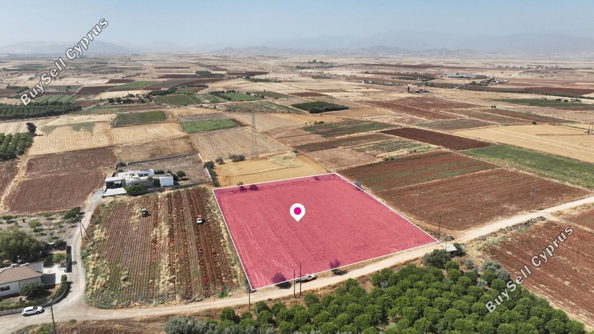 land for sale peristerona lefkosias nicosia 8629112 image 15865571