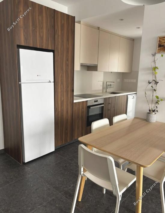 1 bedroom apartment for rent makedonitissa nicosia 8645212 image 16337230