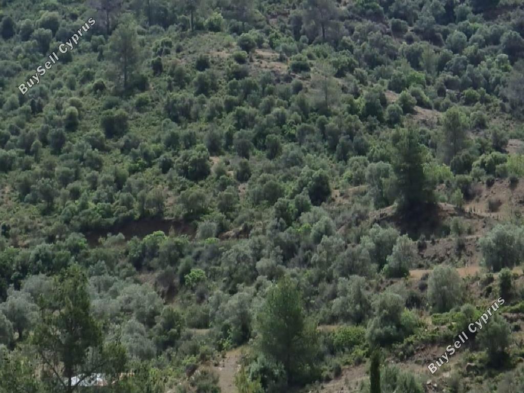 land for sale lythrodontas nicosia 1674212 image 4323936