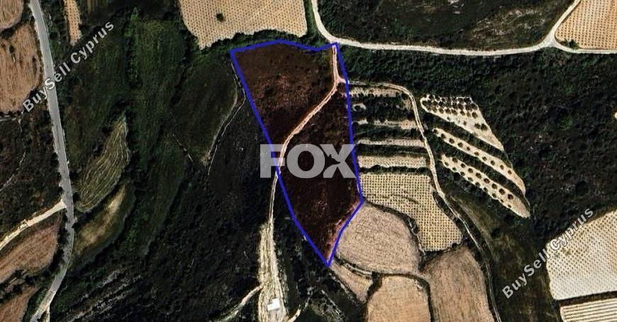 land for sale kathikas paphos 1301312 image 5588859