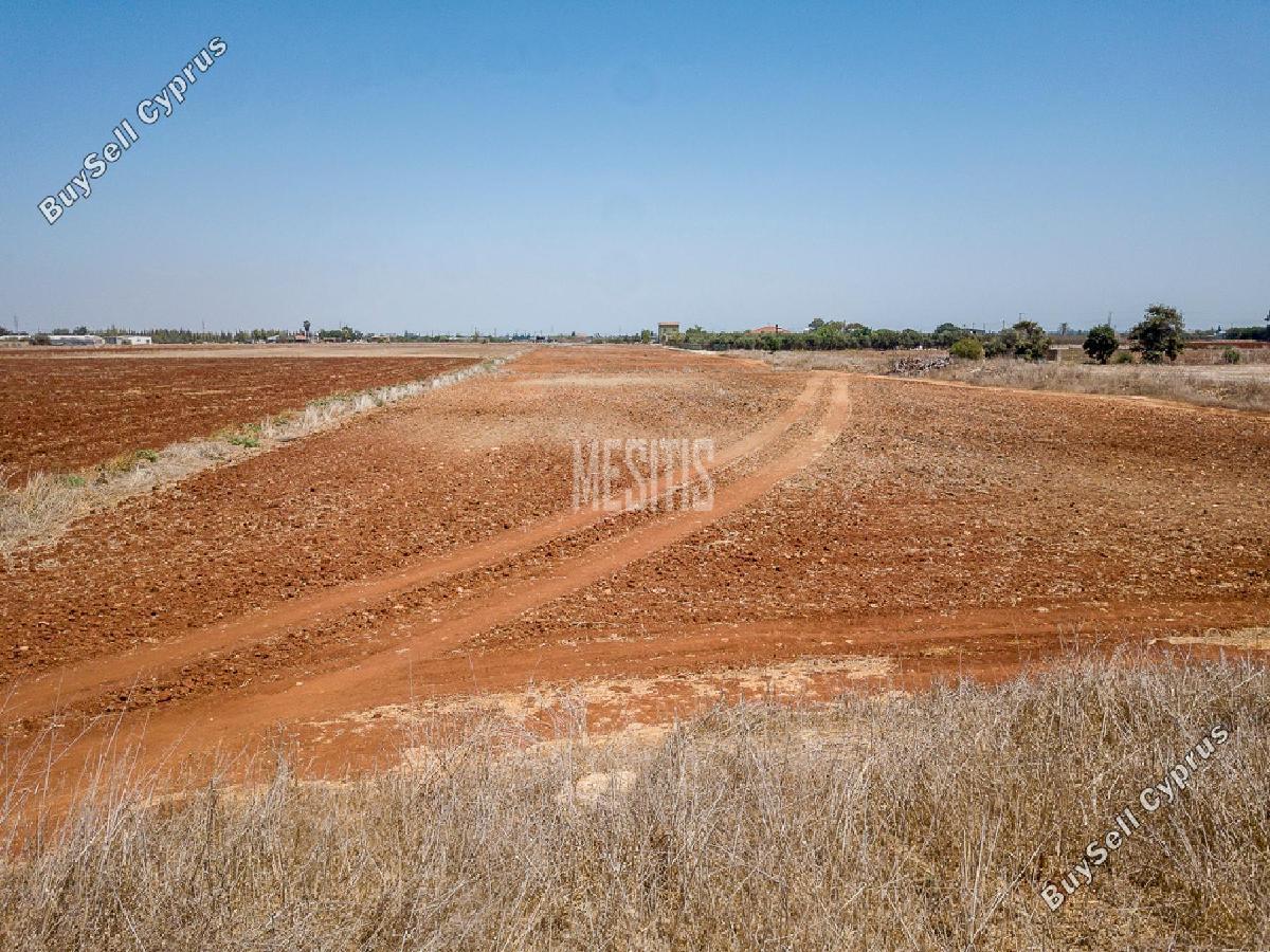 13543 SQM Land for sale in Avgorou, Famagusta 16599210