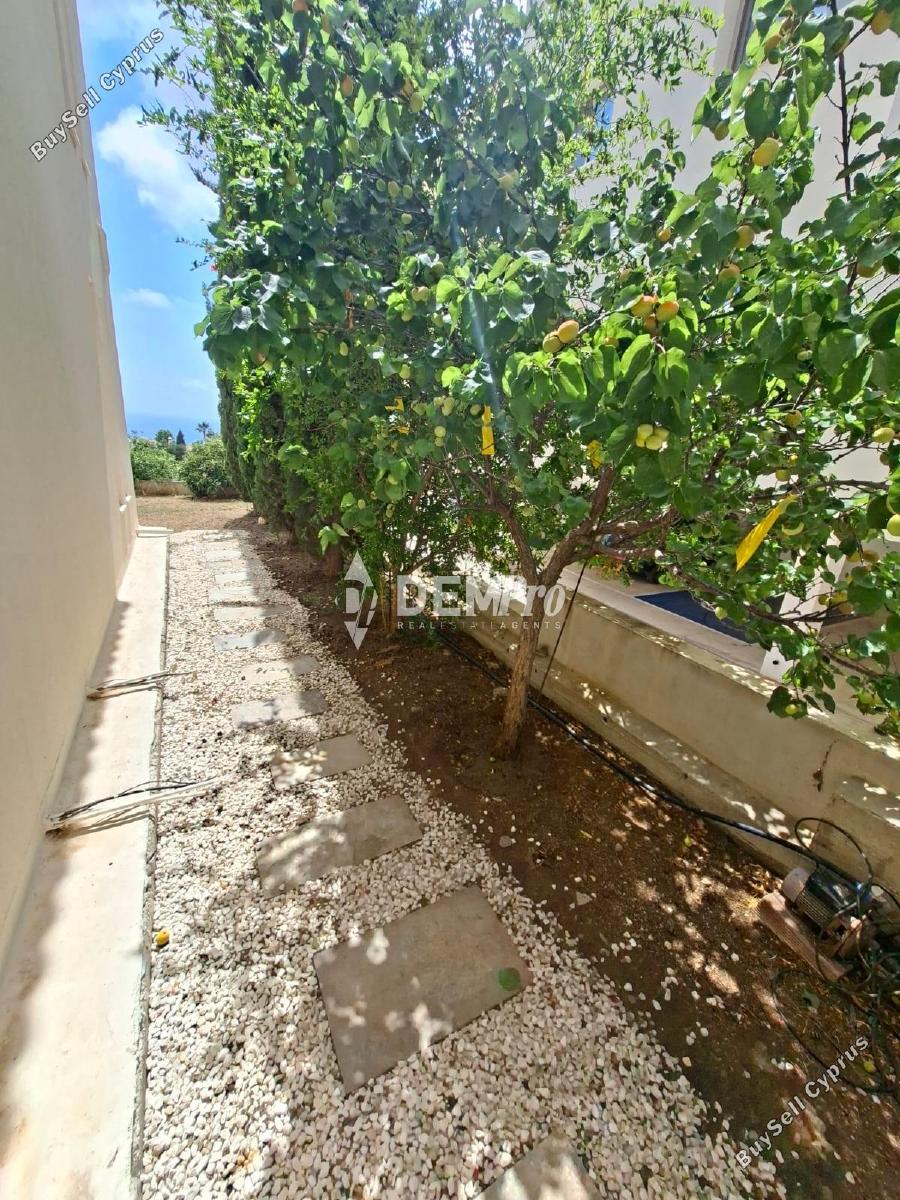 3 bedroom detached house for sale tala paphos 8844412 image 17075632