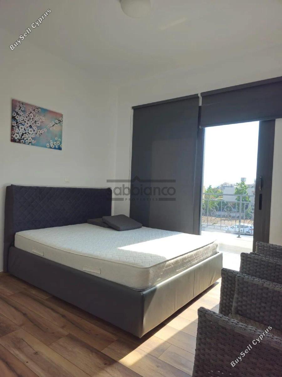 3 bedroom detached house rented geroskipou paphos 8736412 image 16521221