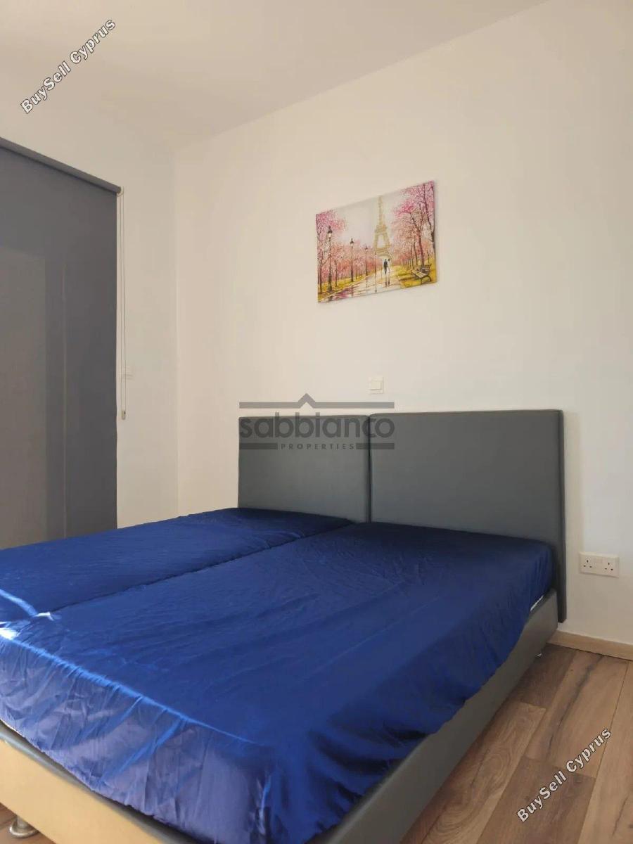 3 bedroom detached house rented geroskipou paphos 8736412 image 16521232