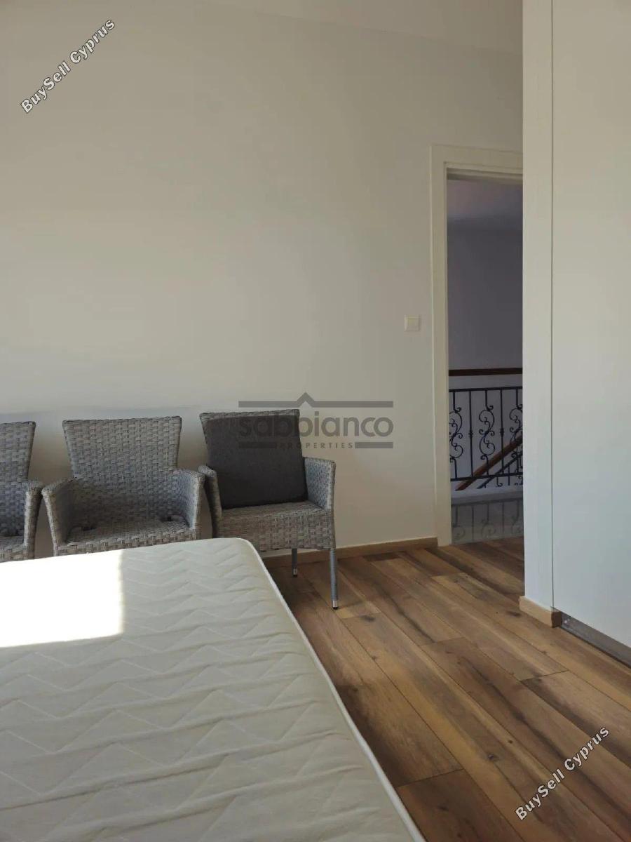 3 bedroom detached house rented geroskipou paphos 8736412 image 16521238