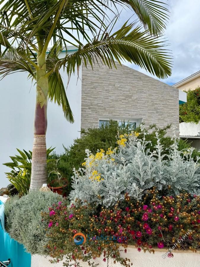 4 bedroom bungalow for sale tala paphos 8529412 image 15454336