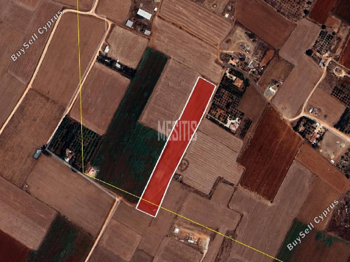 land for sale avgorou famagusta 8772412 image 16599206