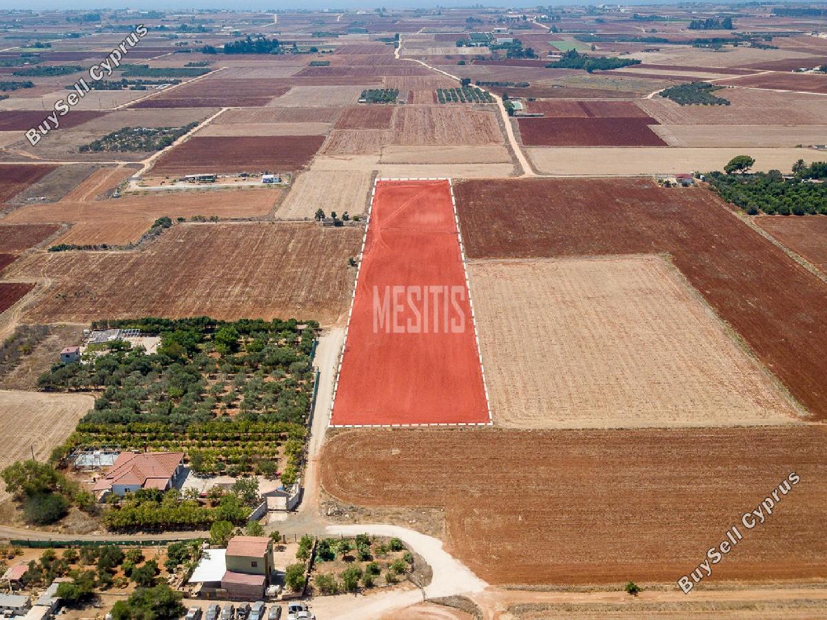 land for sale avgorou famagusta 8772412 image 16599207