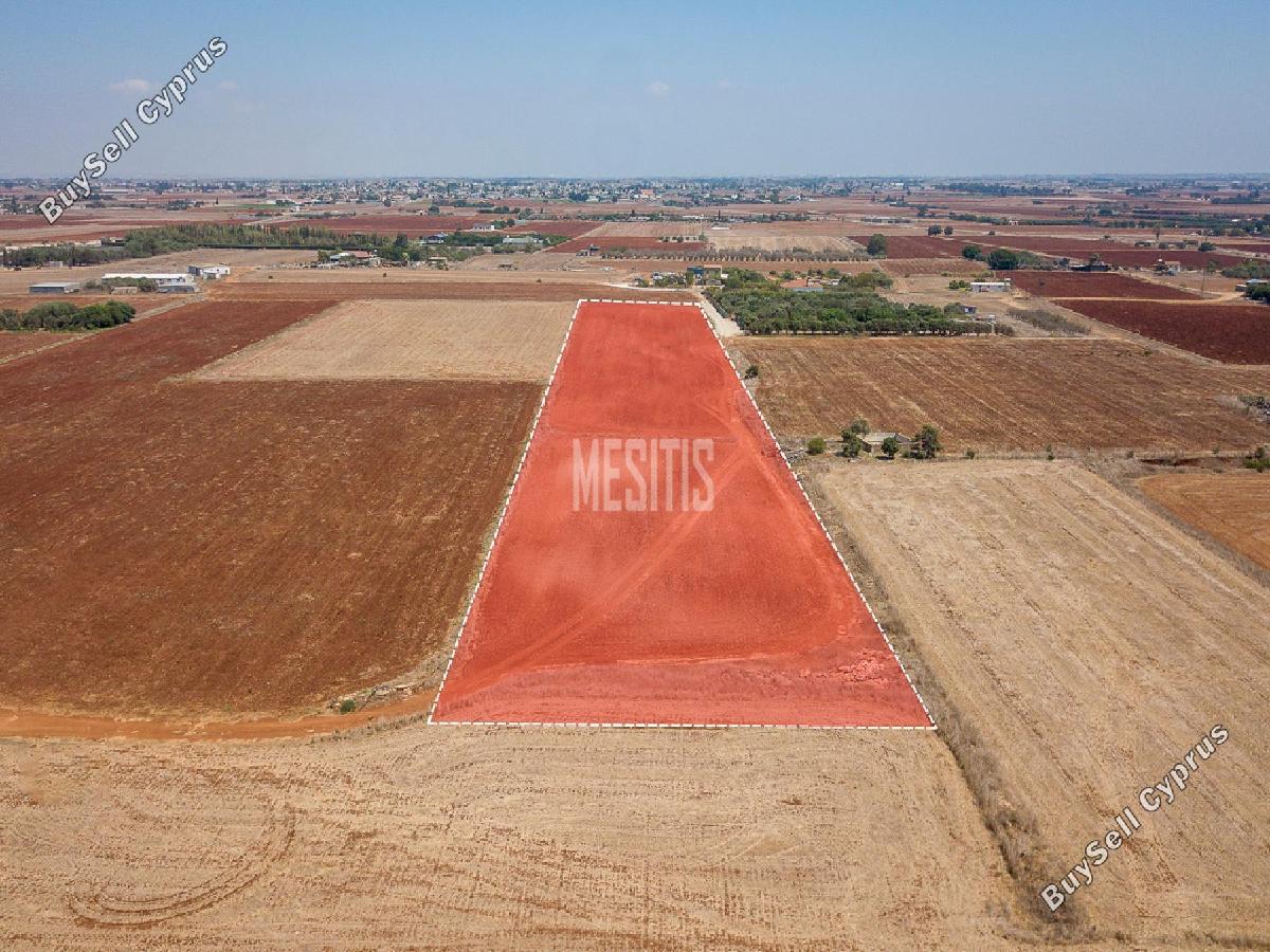 land for sale avgorou famagusta 8772412 image 16599209