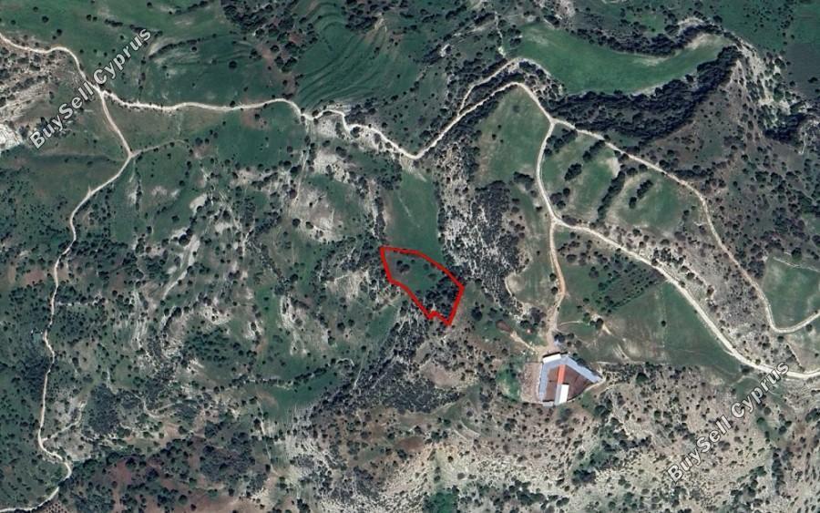 land for sale episkopi pafou paphos 8630412 image 16685555
