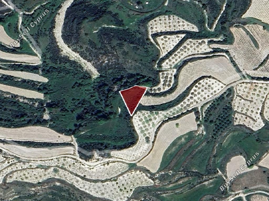 land for sale kallepeia paphos 1410412 image 16701057
