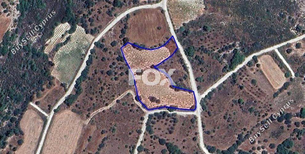 land for sale arminou paphos 1270512 image 5575624