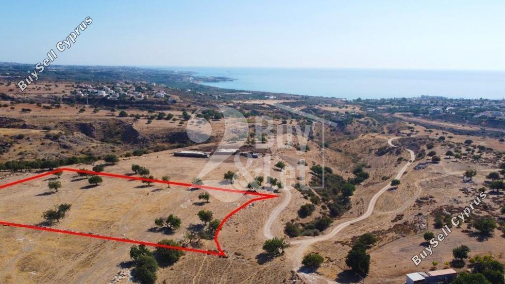land off market peyia paphos 1444512 image 9683042