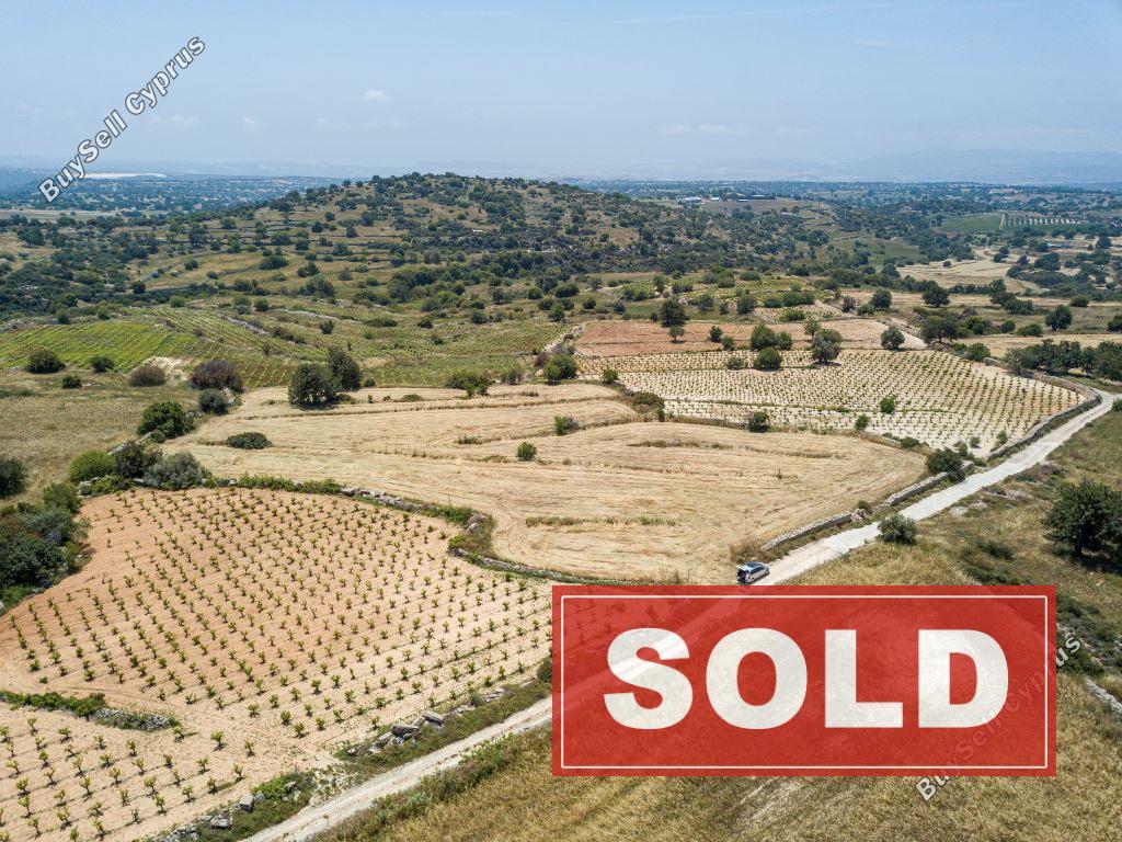 land sold pachna limassol 8633512 image 16062279
