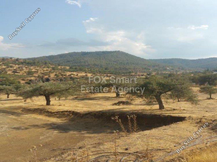 4014 SQM Land for sale in Kalo Chorio Oreinis, Nicosia 12675090