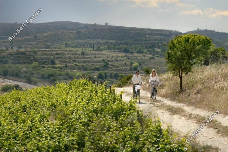 4 bedroom detached house for sale tsada paphos 7734612 image 10160398
