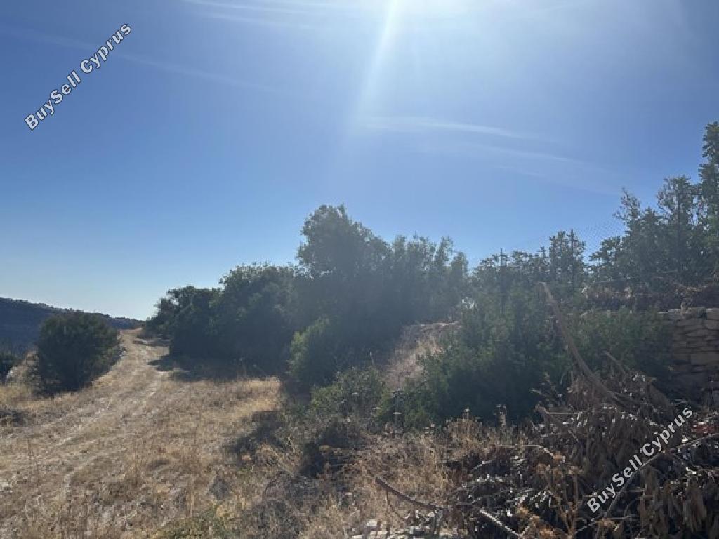 land for sale pachna limassol 944612 image 17102830