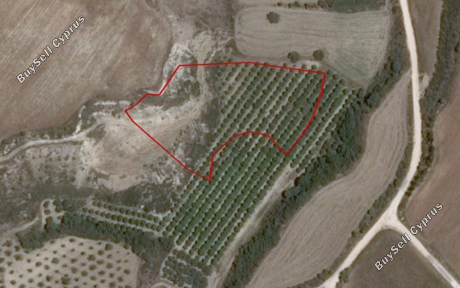 land for sale prodromi paphos 8630612 image 16210565
