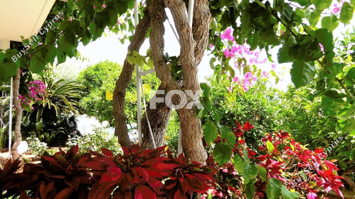studio office for rent mesa gitonia limassol 1284612 image 16294209