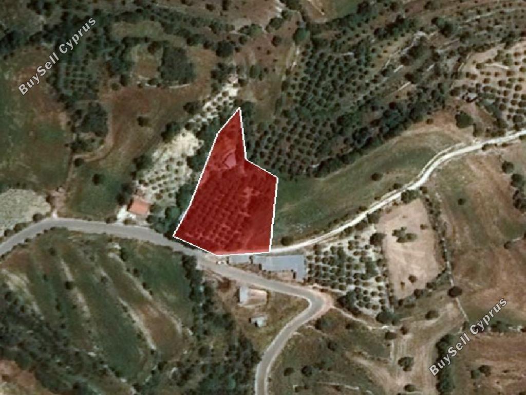 land for sale dora limassol 8145712 image 15881444
