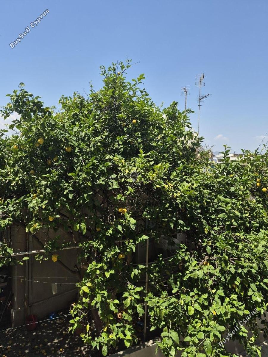2 bedroom apartment for rent katholiki limassol 8798812 image 17582799