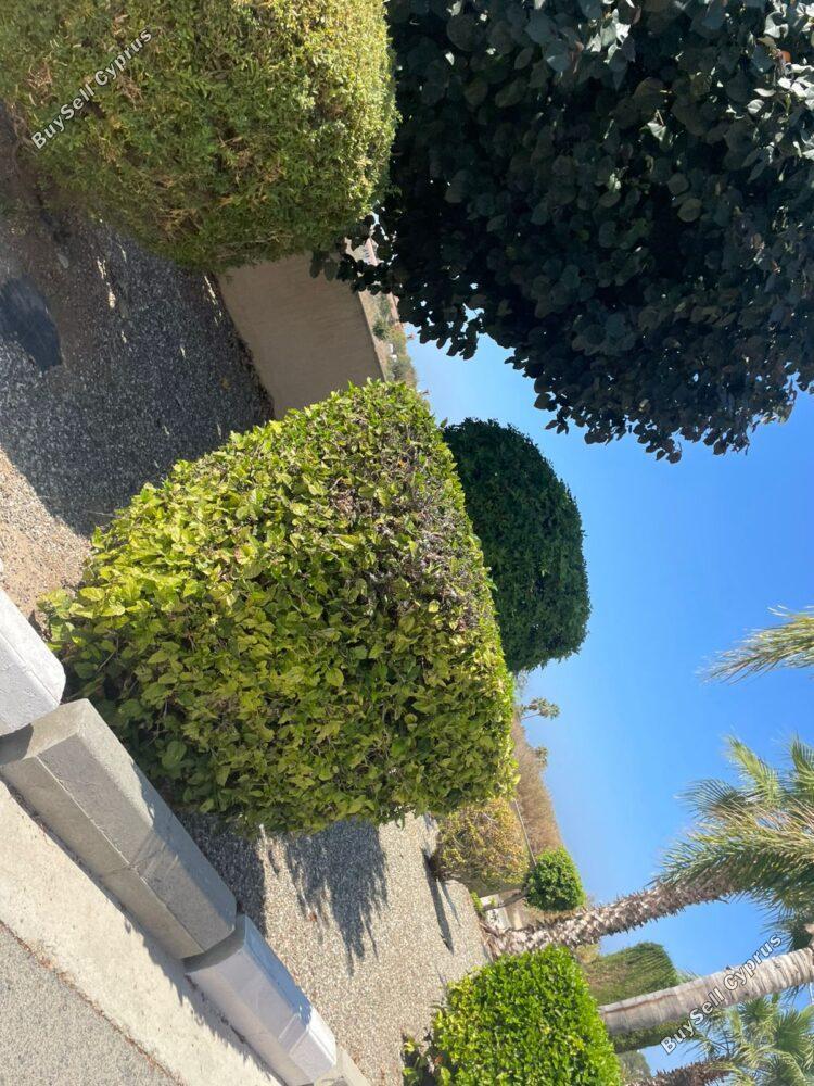 2 bedroom apartment for rent tombs of the kings paphos 8716812 image 16306956