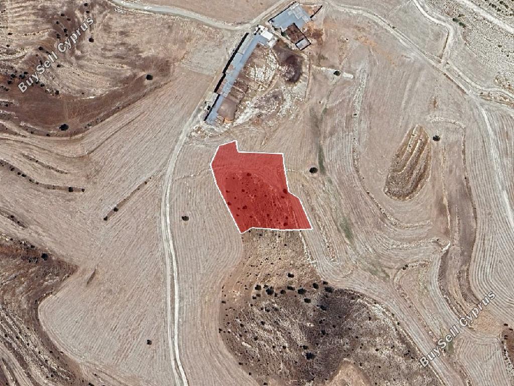 land for sale lympia nicosia 8174812 image 13549914