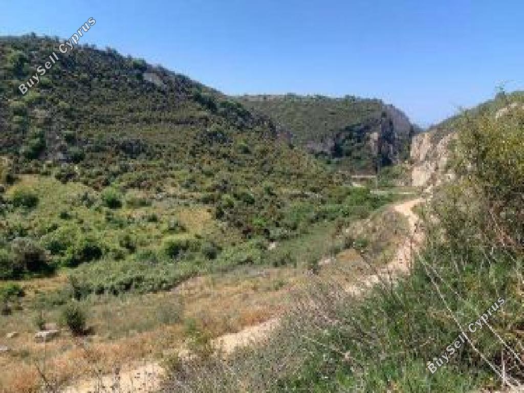 land for sale kathikas paphos 8664912 image 17009681